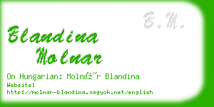blandina molnar business card